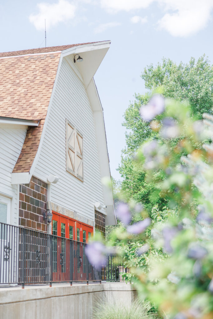 Jenny Jolley Photography